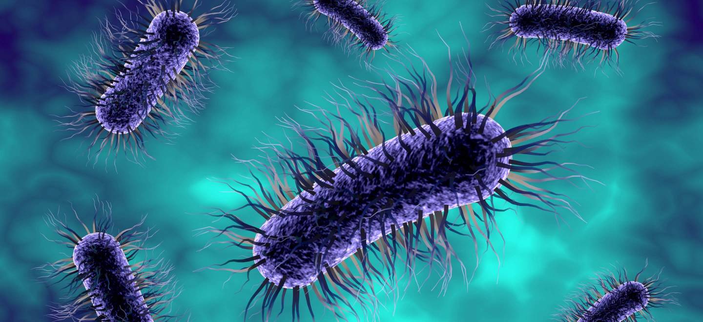 BACTERIAL ENDOTOXIN TESTING 10 reasons to choose factor C